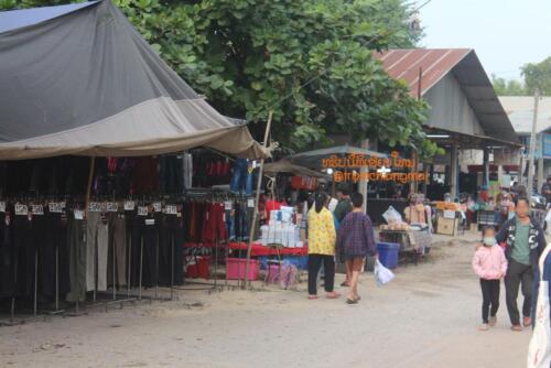 market-cow-sanpatong-09