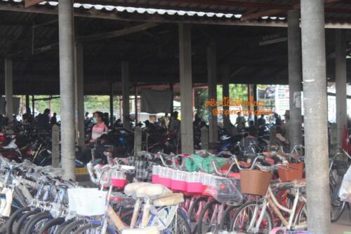 market-cow-sanpatong-13