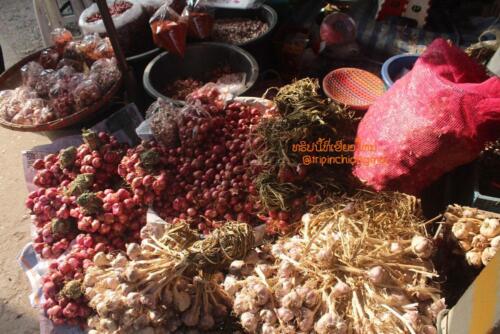 market-cow-sanpatong-52