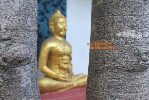 wat-pa-charoen-tham-34